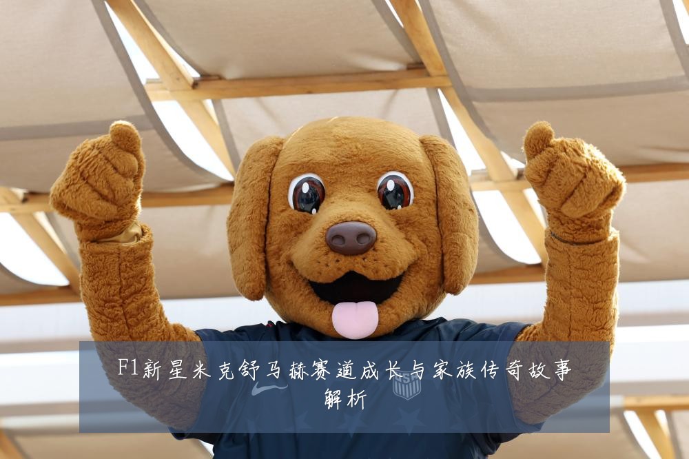 F1新星米克舒马赫赛道成长与家族传奇故事解析